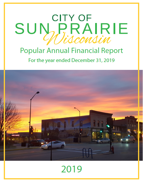 2019 PAFR Cover