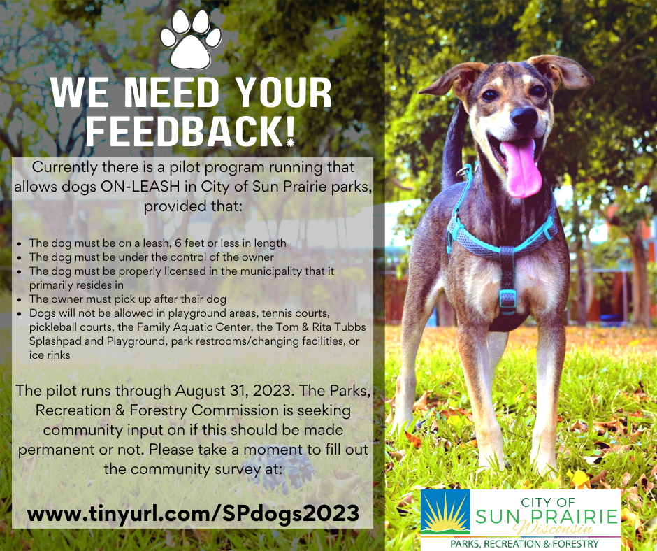 Dogs in Parks Survey Image