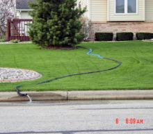 A sump pump hose running through a yard into a city street