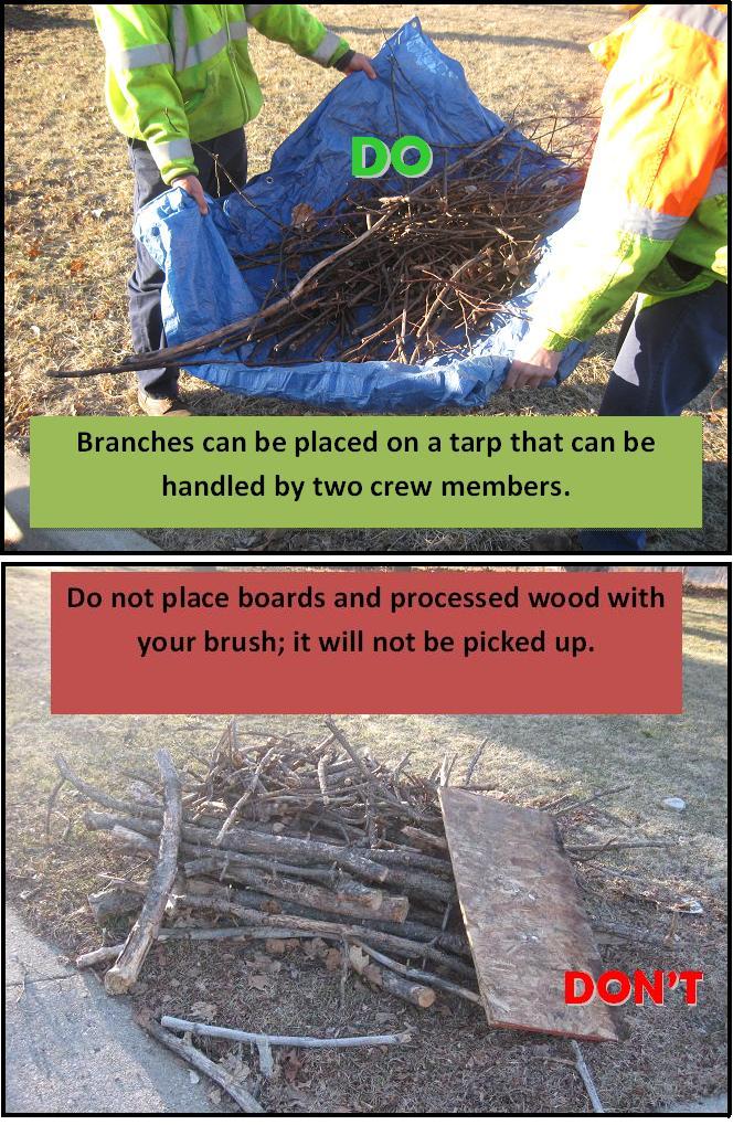 Branches on Tarp and Boards