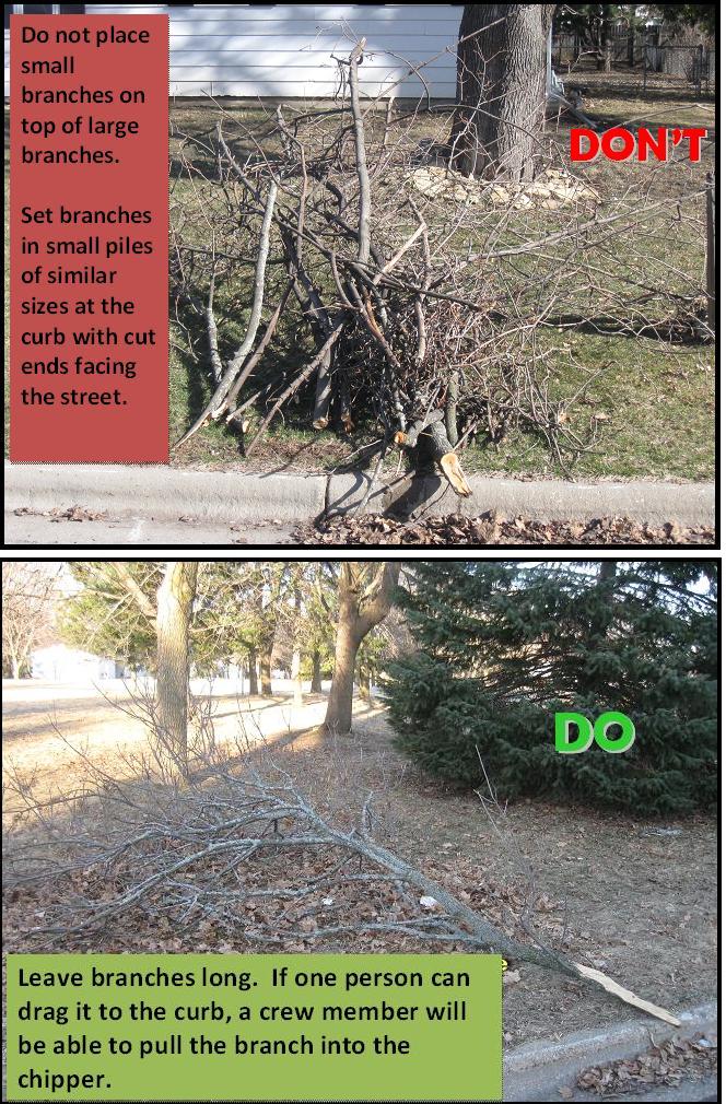 Small Large and Long Branches