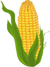 corn on the cob