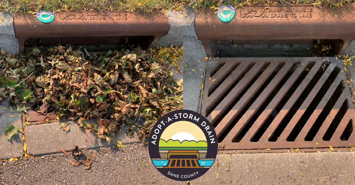 Adopt A Storm Drain FB Post Leaves Opens in new window