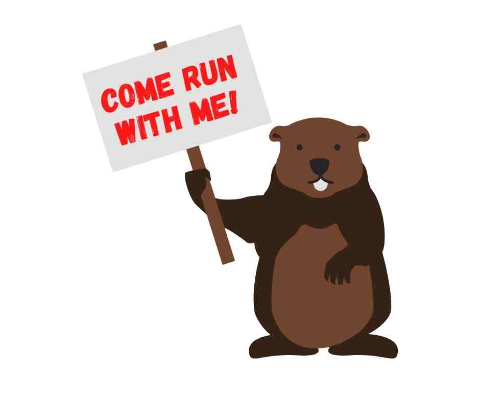 Groundhog