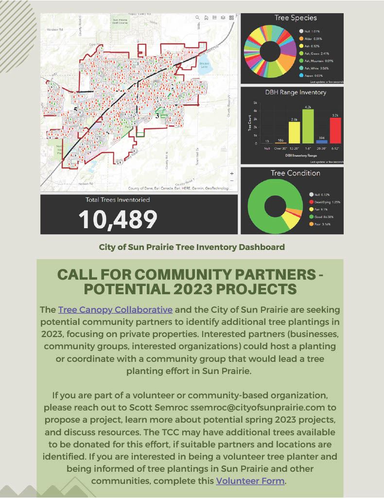 City_of_Sun_Prairie_2022_Tree_Planting_Project1024_3[1] Opens in new window