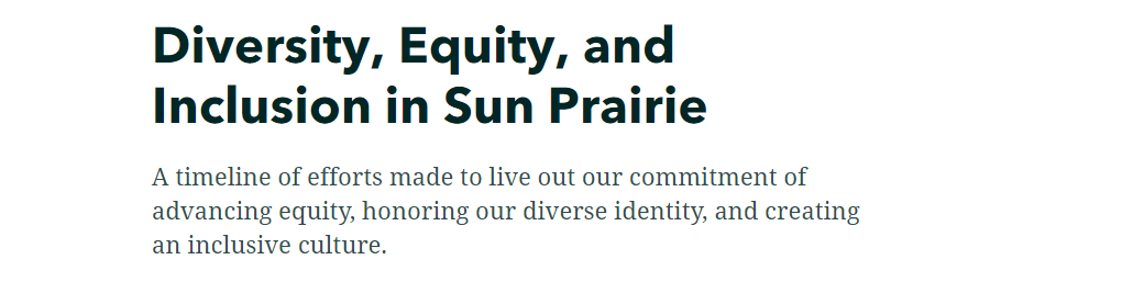 DEI cover from GIS Opens in new window