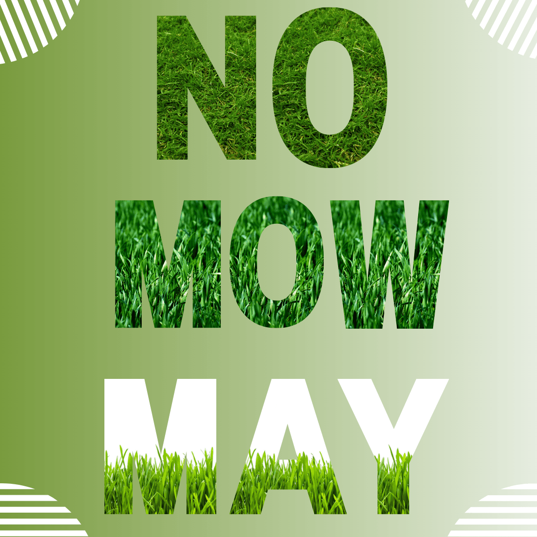 Earth Month 2024 (9)