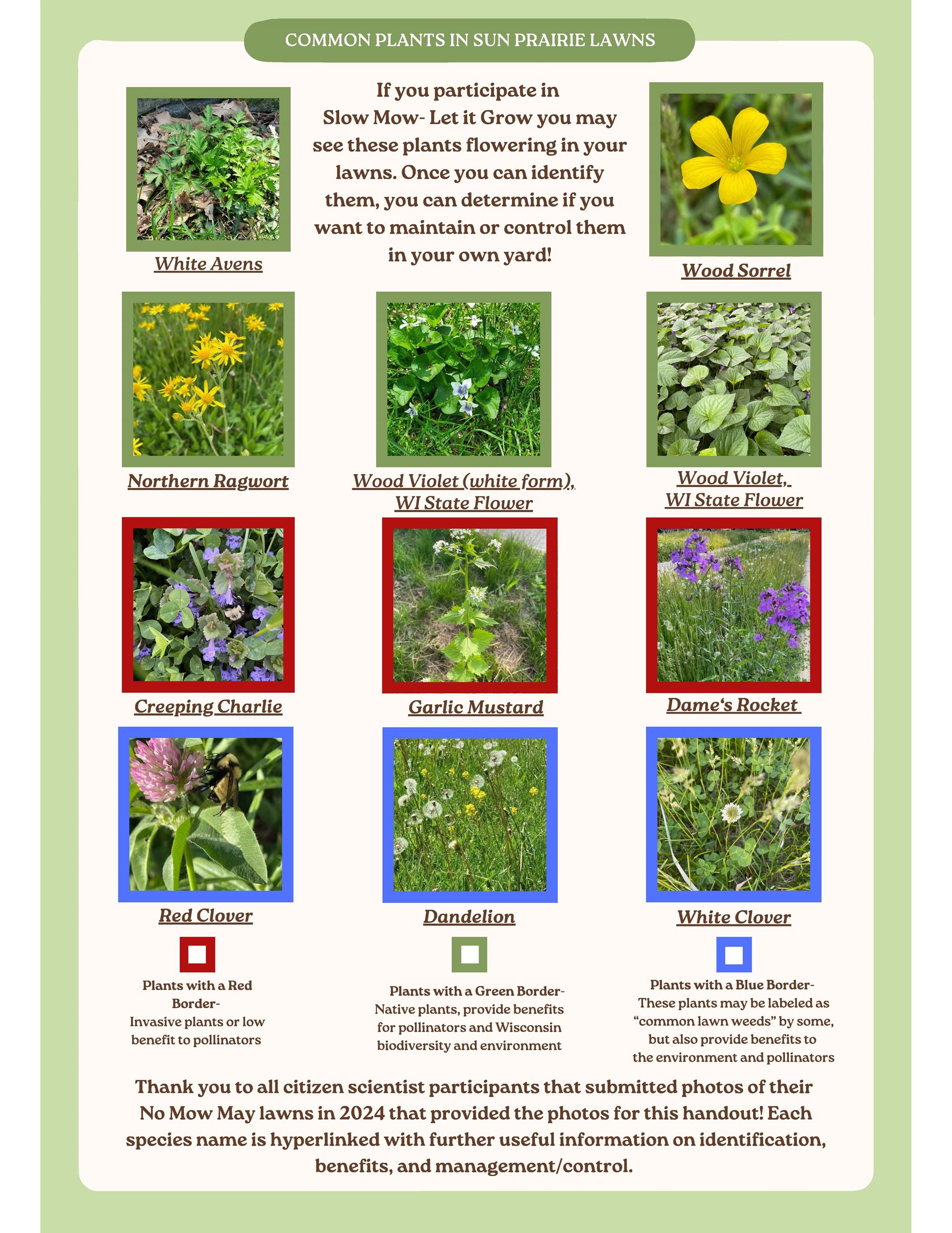 PRF Lawn Species ID Guide