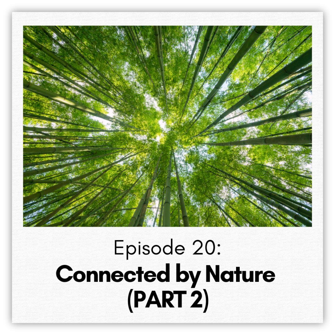 Episode 20