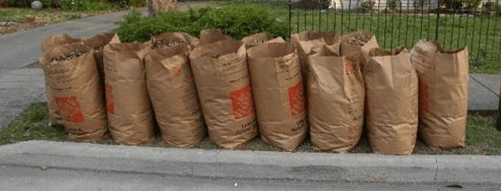 Yard waste placed at the curb for collection
